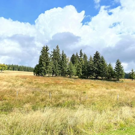 Apartments Stein Boží Dar Zewnętrze zdjęcie