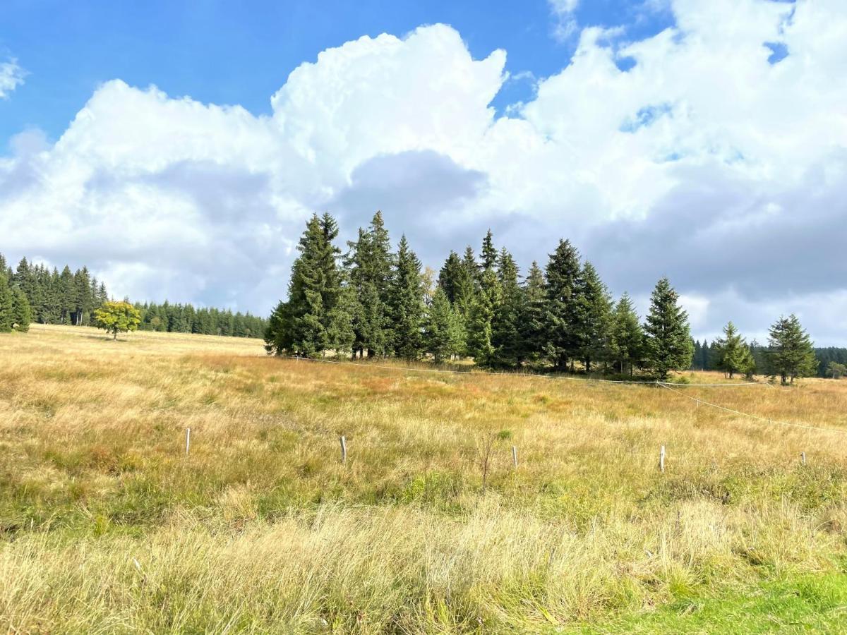 Apartments Stein Boží Dar Zewnętrze zdjęcie
