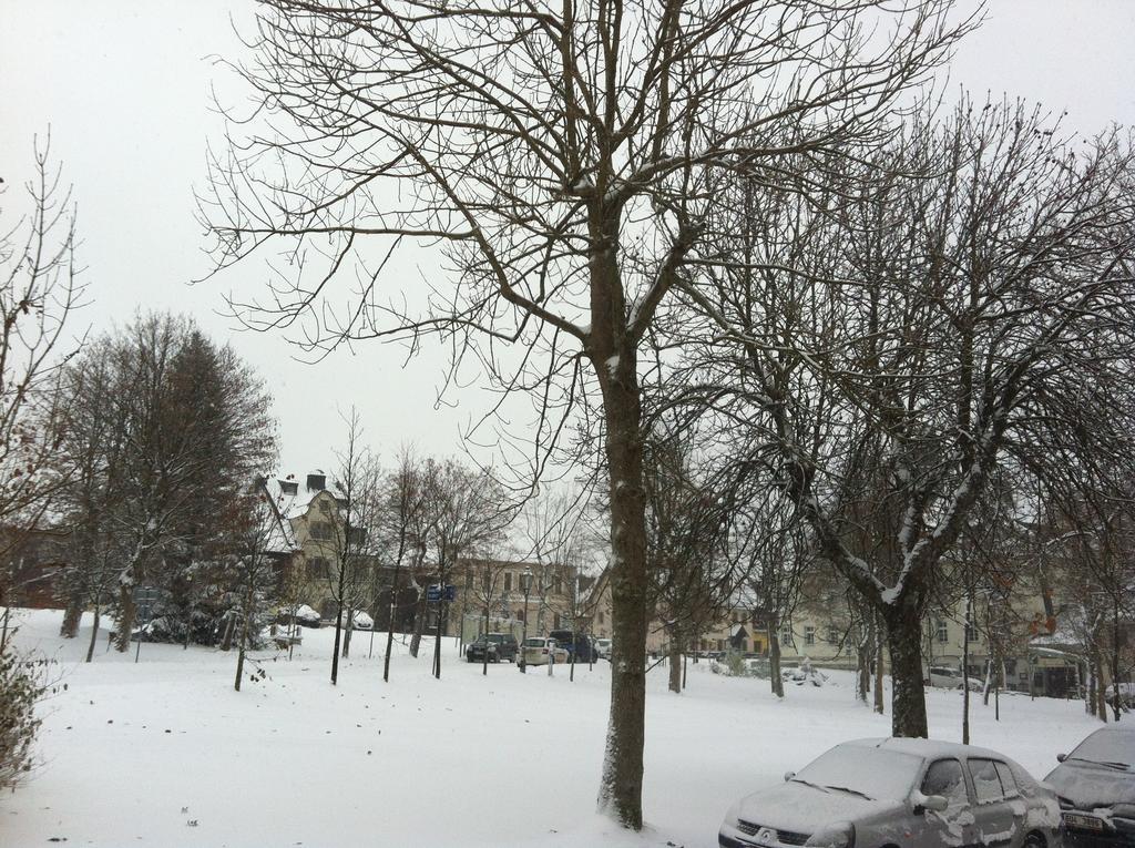 Apartments Stein Boží Dar Zewnętrze zdjęcie